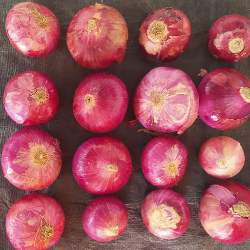 Bhima Variety No grade Onion