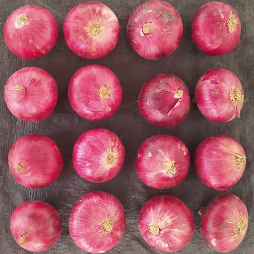 Bhima Variety Premium Onion